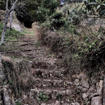 tt-soller-01