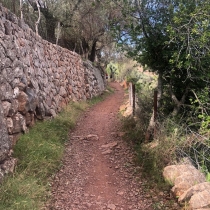 tt-soller-02