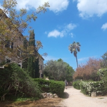 tt-soller-05