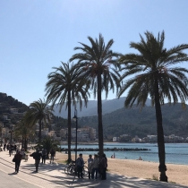 tt-soller-07